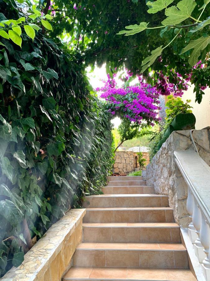 Apartments Villa Ra Zaboric Exterior photo
